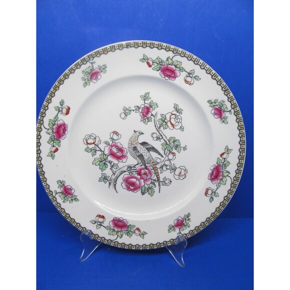 F. Winkle & Co. Wheildon Ware Pheasant Pattern Antique 10 1/2" Dinner Plate READ - Picture 7 of 7